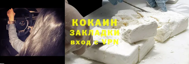 Cocaine Fish Scale  продажа наркотиков  Железногорск 