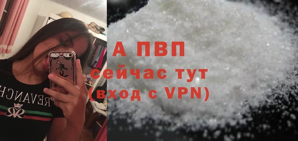 Альфа ПВП Коряжма
