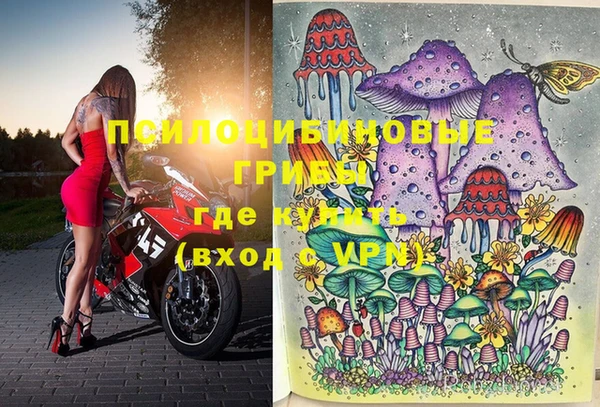 Альфа ПВП Коряжма