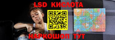 PSILOCYBIN Гагарин