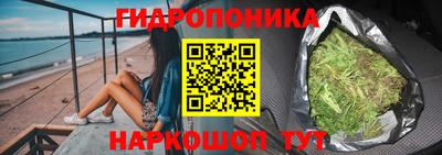 a pvp Гатчина