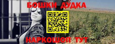 прущие грибы Гай