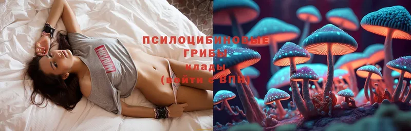 Галлюциногенные грибы Magic Shrooms  МЕГА как зайти  Железногорск 