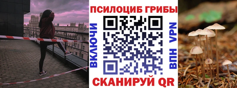 купить   Железногорск  Псилоцибиновые грибы мицелий 