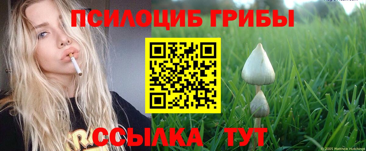Псилоцибиновые грибы MAGIC MUSHROOMS  Псилоцибиновые грибы Psilocybe  Вход с VPN  Железногорск 