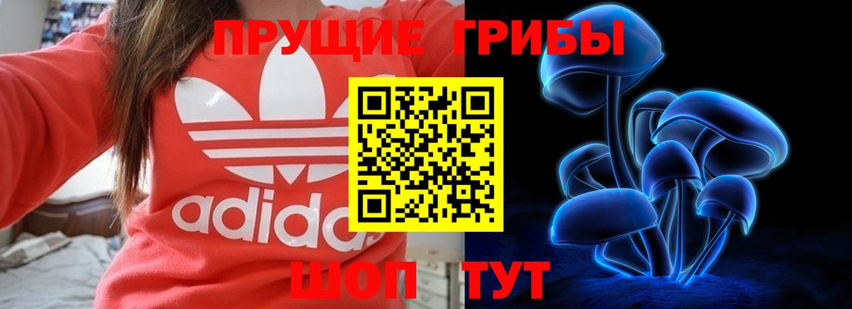 Галлюциногенные грибы Magic Shrooms Железногорск
